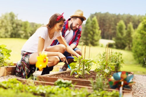 Illustration of a garden service complaint review