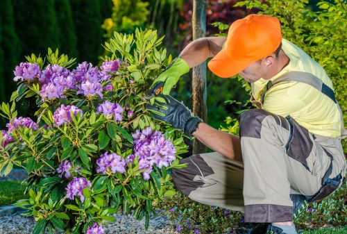 Gardeners Haggerston health and safety policy introduction