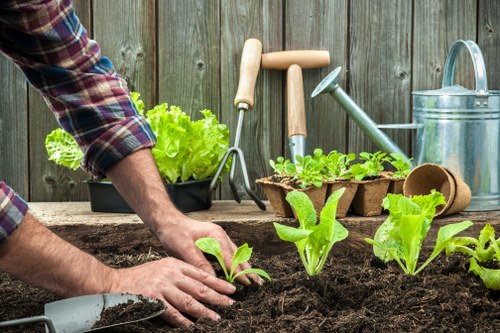 Image representing a gardener service concern being assessed
