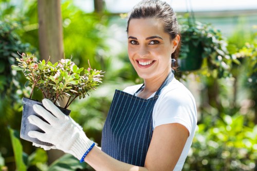 Seasonal lawn maintenance in a Haggerston backyard with healthy turf