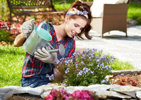 Seasonal garden upkeep in Haggerston with hedge trimming and lawn care