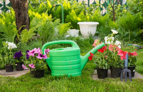 Urban garden maintenance in Haggerston for healthy outdoor spaces