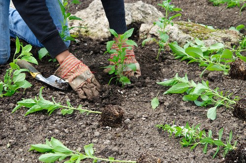 Annual review of anti-slavery controls for Gardeners Haggerston