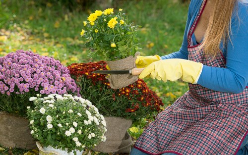Supplier due diligence in Haggerston gardening services