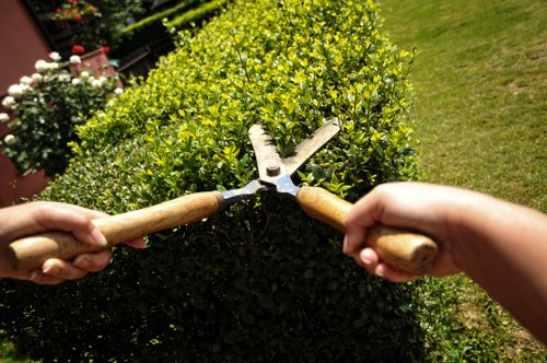 Local grass cutting and edging service for Haggerston lawns