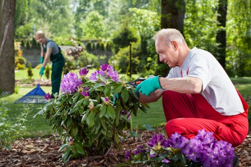 Seasonal planting by Haggerston gardeners in a city garden