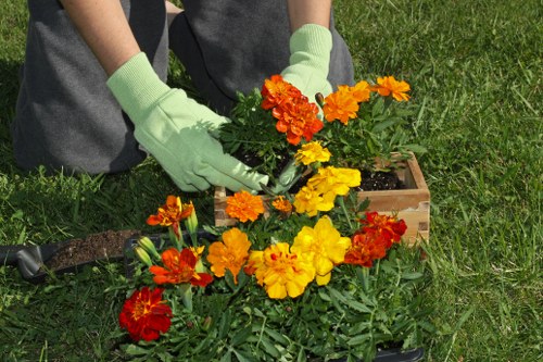 Visual for reviewing gardening service issues
