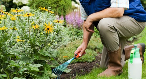 Professional garden maintenance in Haggerston for small city gardens