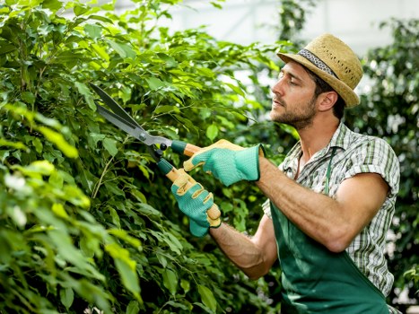 SSL encrypted gardening payment process for Gardeners Haggerston
