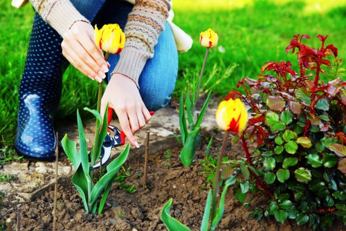 Reusable garden materials prepared for charity donation