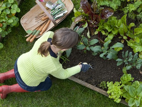 Illustration of follow-up action for a garden complaint