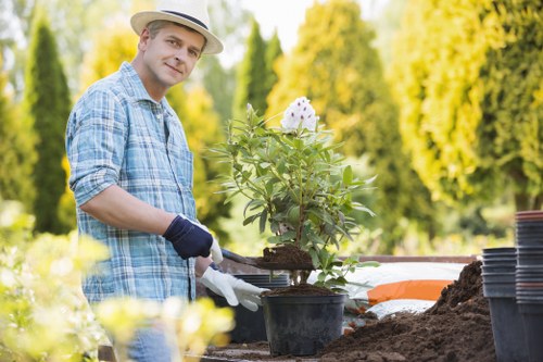 Analytics cookies tracking website performance for Haggerston gardeners