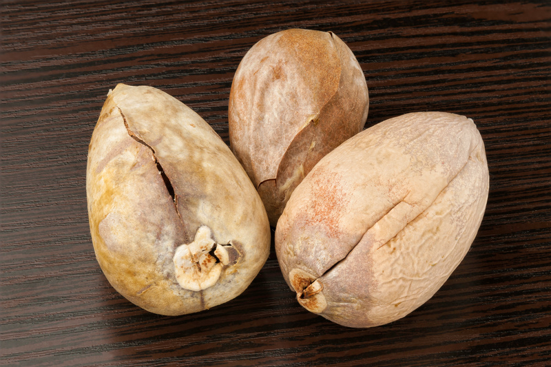 garden design landscape design