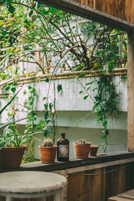 A cozy balcony garden scene with a wooden ledge holding several small terracotta pots containing various green plants, including a succulent and leafy foliage. Behind the pots, a dark glass bottle wit